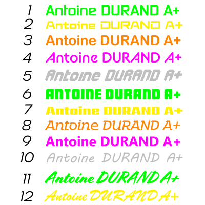 Nom de pilote + Groupe sanguin - Adhésif - Planet Motorsport