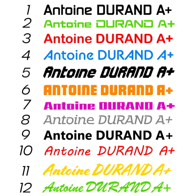 Nom du pilote + groupe sanguin adhésif personnalisable (Vendu par paire)