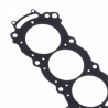 Engine gaskets